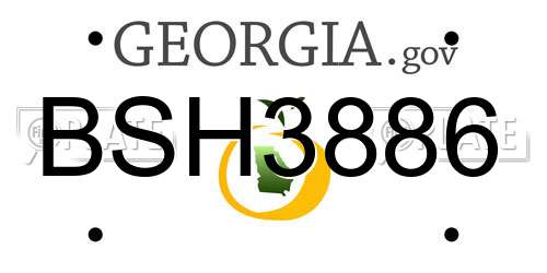 BSH3886 Georgia License Plate