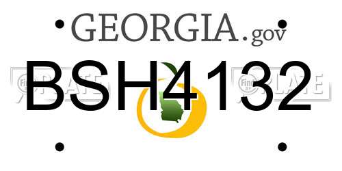 BSH4132 Georgia License Plate