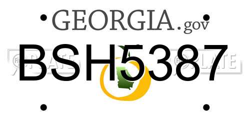 BSH5387 Georgia License Plate