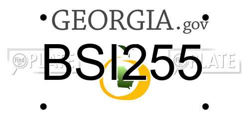 BSI255 Georgia License Plate