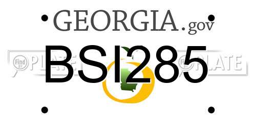 BSI285 Georgia License Plate