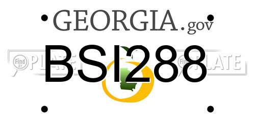 BSI288 Georgia License Plate