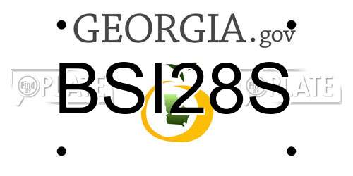 BSI28S Georgia License Plate