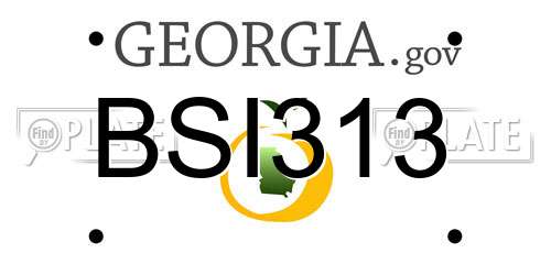BSI313 Georgia License Plate