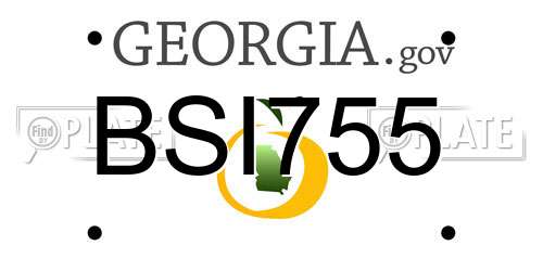 BSI755 Georgia License Plate