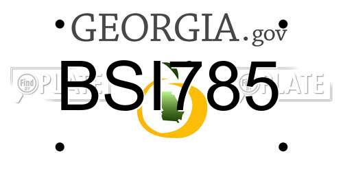 BSI785 Georgia License Plate