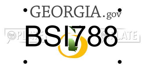 BSI788 Georgia License Plate