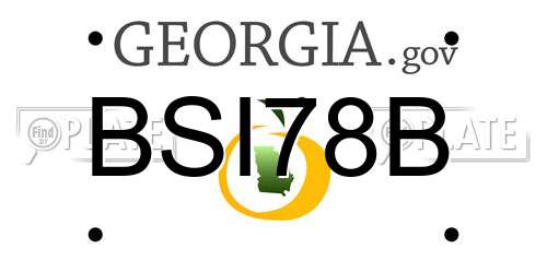 BSI78B Georgia License Plate