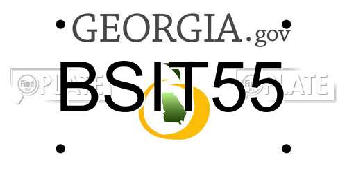 BSIT55 Georgia License Plate