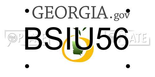 BSIU56 Georgia License Plate