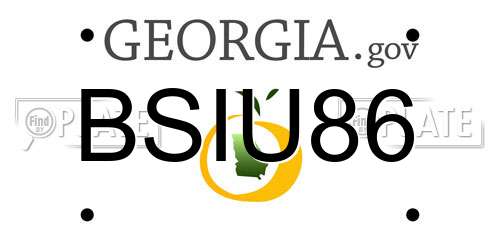 BSIU86 Georgia License Plate