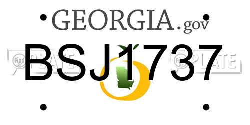 BSJ1737 Georgia License Plate