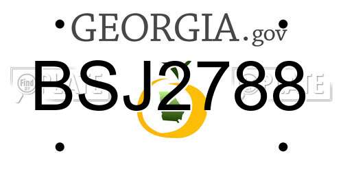 BSJ2788 Georgia License Plate
