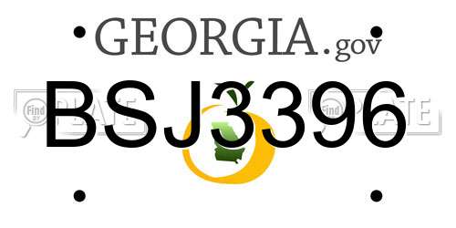 BSJ3396 Georgia License Plate