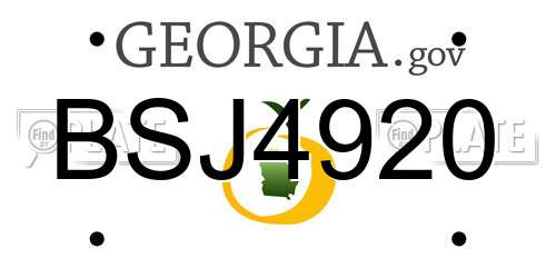 BSJ4920 Georgia License Plate
