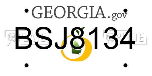 BSJ8134 Georgia License Plate