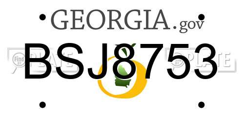 BSJ8753 Georgia License Plate