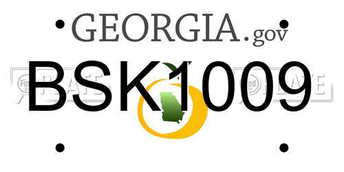 BSK1009 Georgia License Plate