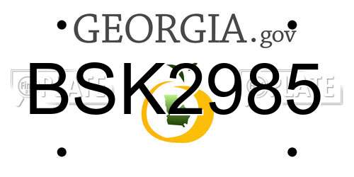 BSK2985 Georgia License Plate