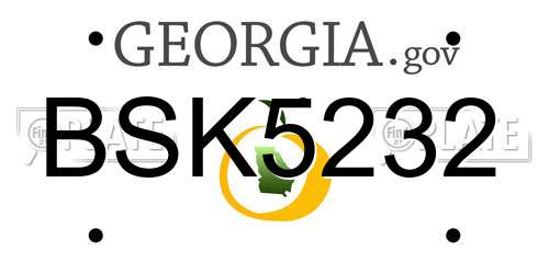 BSK5232 Georgia License Plate
