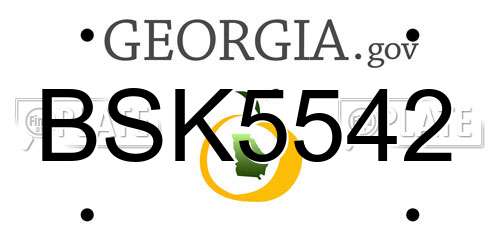 BSK5542 Georgia License Plate
