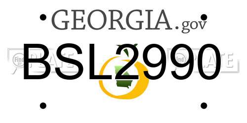 BSL2990 Georgia License Plate
