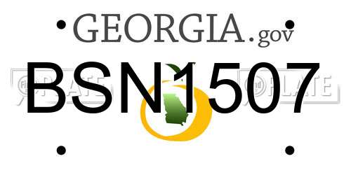 BSN1507 Georgia License Plate