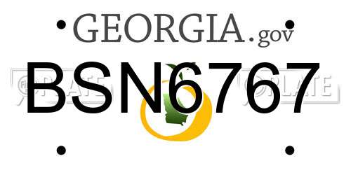 BSN6767 Georgia License Plate