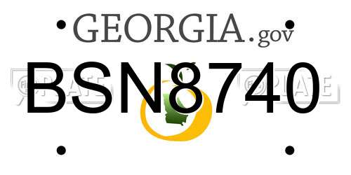 BSN8740 Georgia License Plate