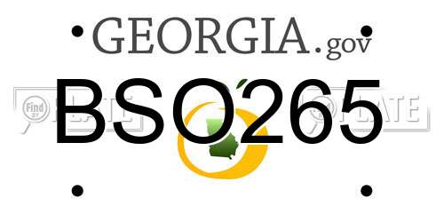 BSO265 Georgia License Plate