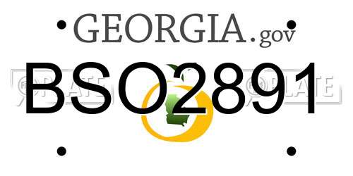 BSO2891 Georgia License Plate
