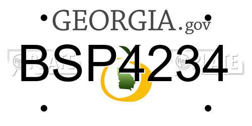 BSP4234 Georgia License Plate