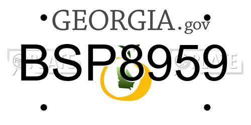 BSP8959 Georgia License Plate
