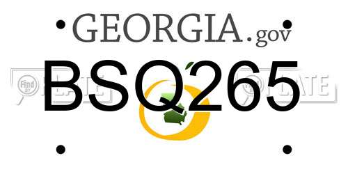 BSQ265 Georgia License Plate