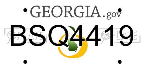 BSQ4419 Georgia License Plate