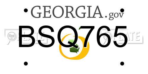 BSQ765 Georgia License Plate