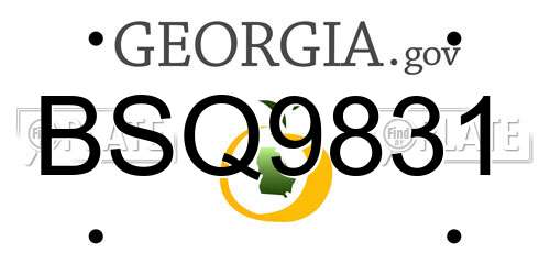BSQ9831 Georgia License Plate