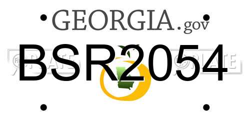 BSR2054 Georgia License Plate