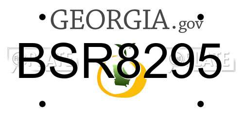 BSR8295 Georgia License Plate