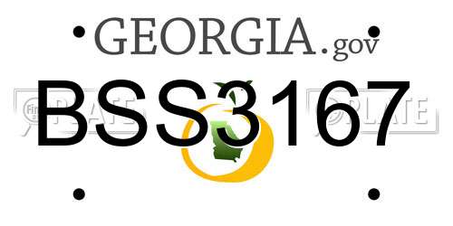 BSS3167 Georgia License Plate