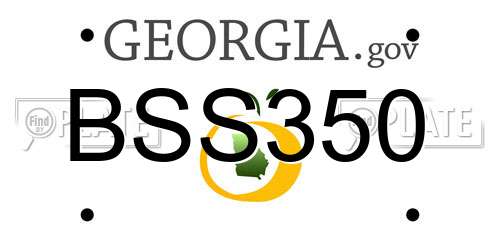 BSS350 Georgia License Plate