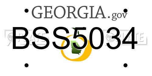 BSS5034 Georgia License Plate