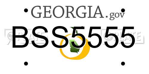 BSS5555 Georgia License Plate