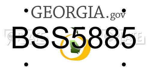 BSS5885 Georgia License Plate