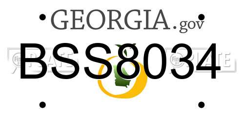 BSS8034 Georgia License Plate