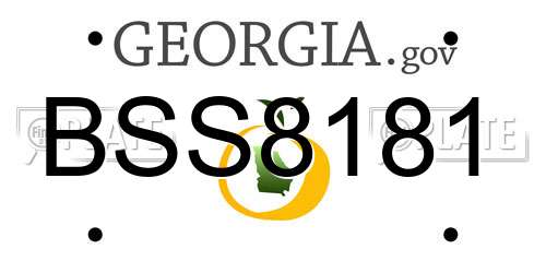BSS8181 Georgia License Plate