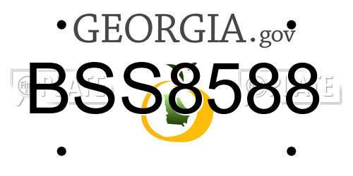 BSS8588 Georgia License Plate