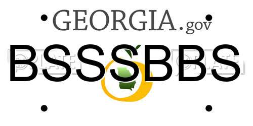 BSSSBBS Georgia License Plate