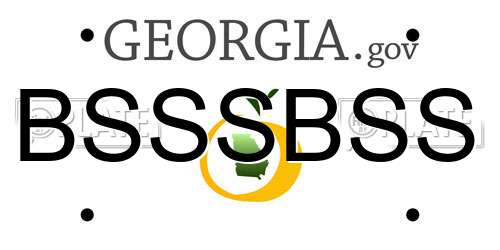 BSSSBSS Georgia License Plate