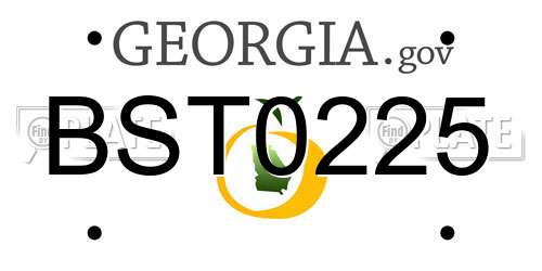 BST0225 Georgia License Plate